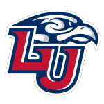 lib icon