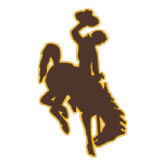 wyo icon