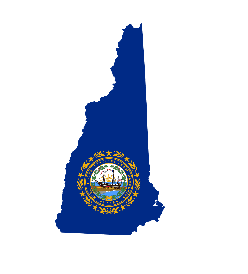 New Hampshire Governor Election Winner