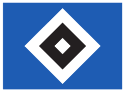 hsv icon