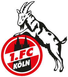 koe icon