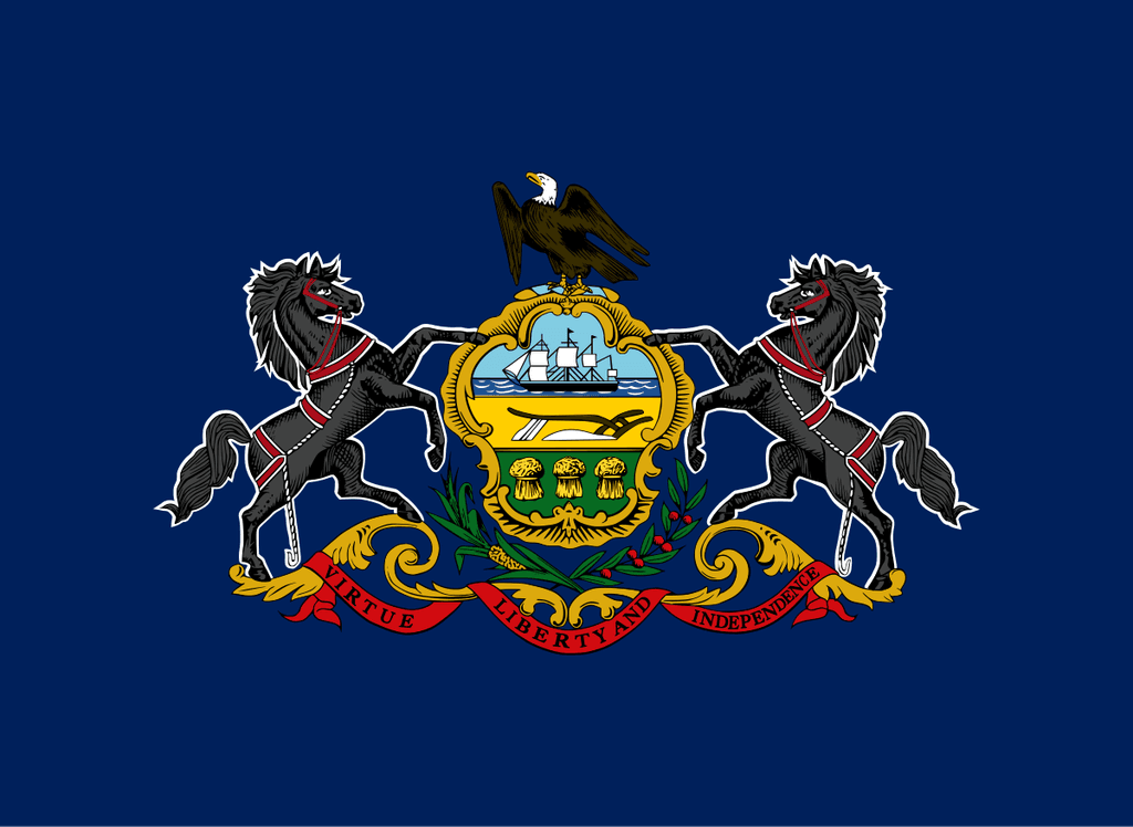 PA-10 Democratic Primary Winner