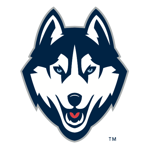 uconn icon